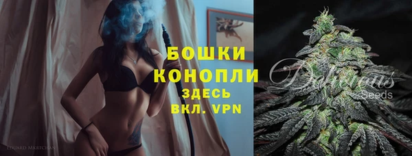 кокс Ельня