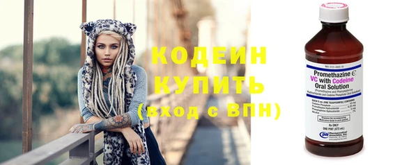 кокс Ельня