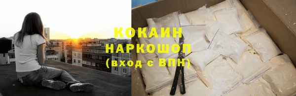 тгк Елизово