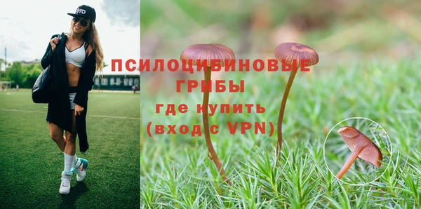 тгк Елабуга