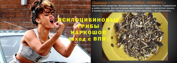 тгк Елизово