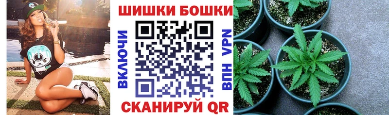 Бошки марихуана ГИДРОПОН  Инта 